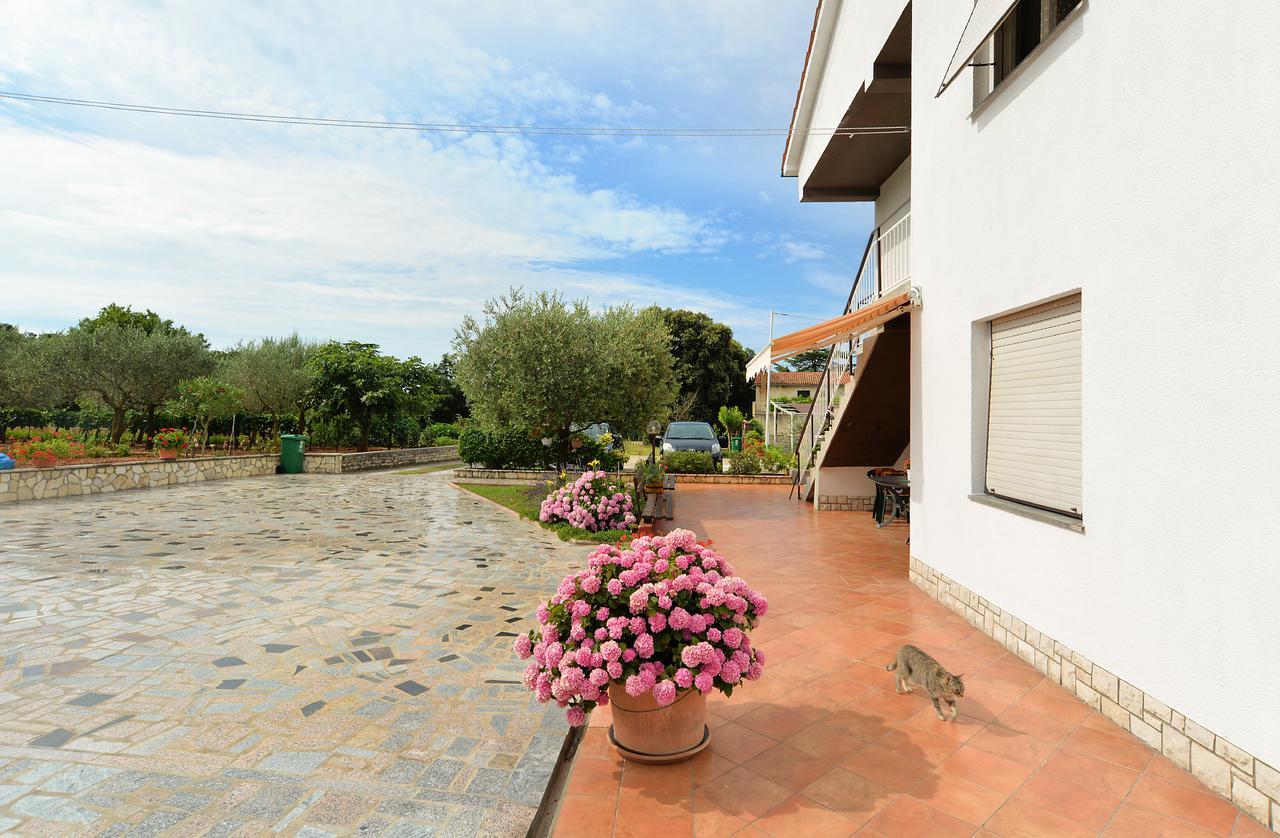 Apartment & Room Tanja 1552 Pula Exterior foto